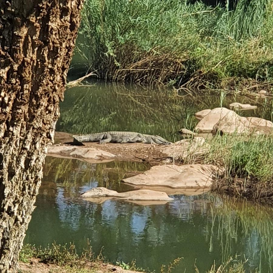 Ekuthuleni River Front Chalets Maruleng Buitenkant foto