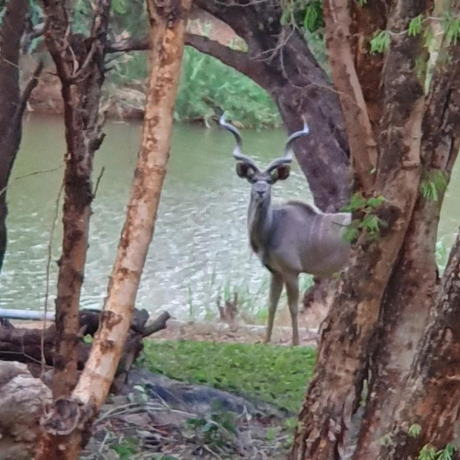 Ekuthuleni River Front Chalets Maruleng Buitenkant foto